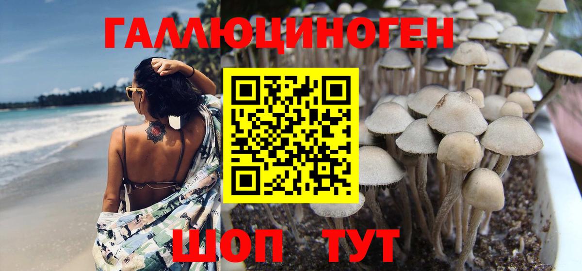 Реутов  Галлюциногенные грибы GOLDEN TEACHER  Вход с VPN 